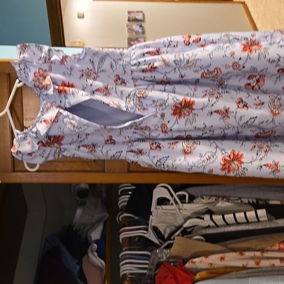 Dress - Picture 3 of 4